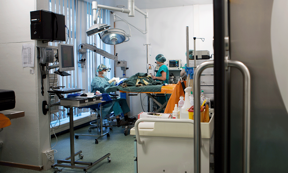 Tieärztliches Augenzentrum: Operationssaal